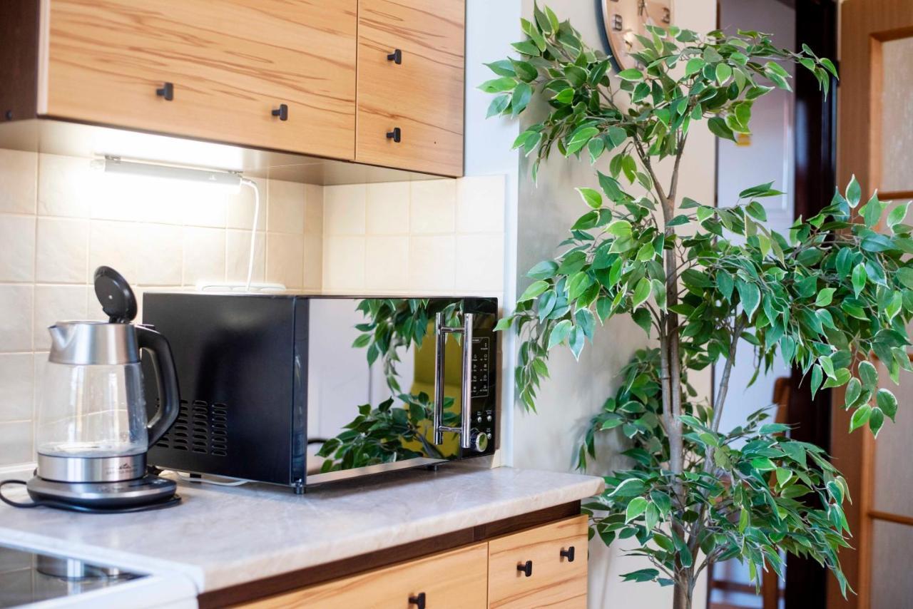 Apartmán u Horynů Ceska Trebova Esterno foto