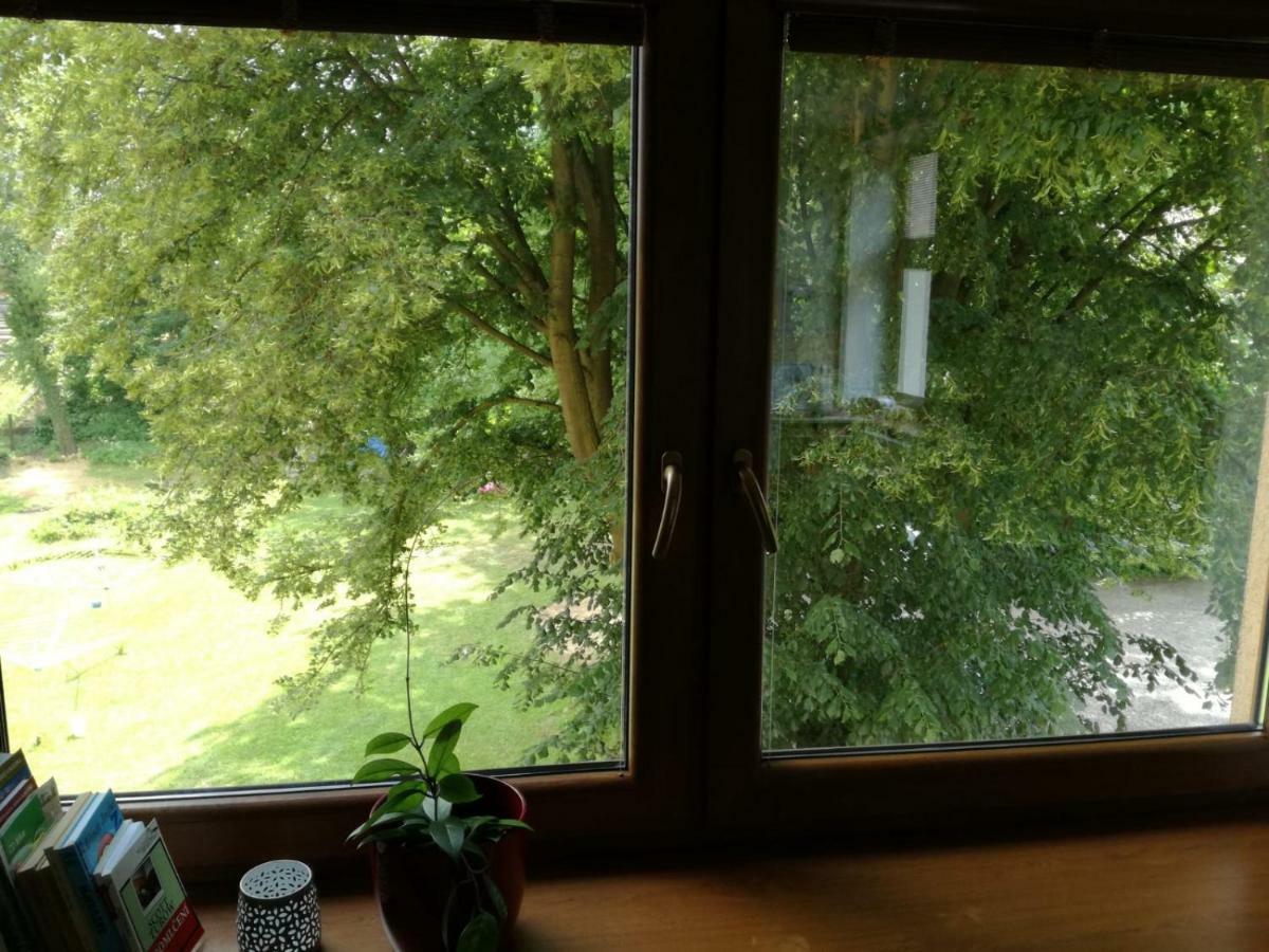 Apartmán u Horynů Ceska Trebova Esterno foto